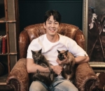 Pecinta Kucing