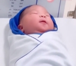 Bobok Gemas
