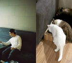 JB GOT7
