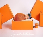 Ameena Hanna Nur Atta