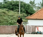 Berkuda