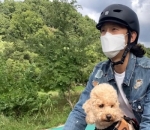 Bersepeda dengan Anjing Kesayangan