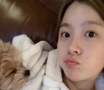 Pecinta Anjing
