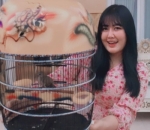 Miliki Peliharaan Tak Biasa