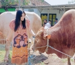 Ramaikan Iduladha dengan Kurban