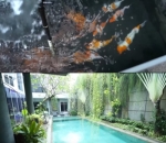 Kolam Renang