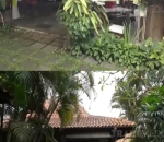 Asri dengan Banyak Pohon