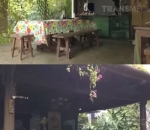 Ruang Makan ala Warung