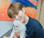 Pecinta Anjing