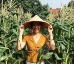 Keseruan Panen Sayur Mayur