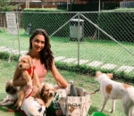 Ajak Anjing Untuk <i>Park Date</i>