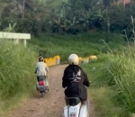 Jelajahi Jalan Terjal