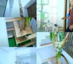Taman Bermain Kucing