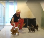 Uya Kuya