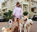 JJS Bareng Anjing kesayangan
