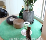 Kim Ji Seok