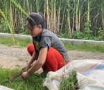 Jago <i>Ngarit</i> Alias Mencari Rumput