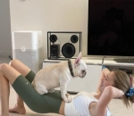 Work Out Bentuk Abs
