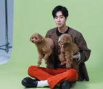<i>Animal Lover</i>