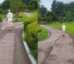 Jalan-jalan Penuh Suka Cita
