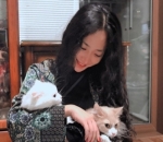 <i>Cat Lover</i> Garis Keras