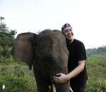 Makna Gajah Bagi Tulus