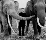 Kerjasama Dengan WWF