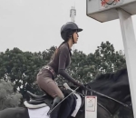 Mengenal Kuda Sejak Kecil