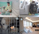 Hunian <i>Pet Friendly</i>