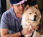 <i>Animal Lover</i>