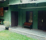 Teras Manggis