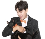 Dahong Kucing Yang Cerdas