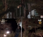Nam Ji Hyun Naik Tiang Listrik