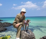 Spesial Hari Anjing Internasional