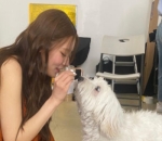 <i>Lovey Dovey</i>