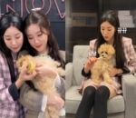 Bareng Anjing Milik Bestie