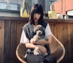 <i>Dog Lover</i> Garis Keras