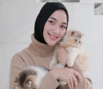 Manja Bareng Kucing