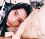 Berusaha Keras Agar Bisa Pelihara Kucing
