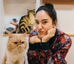 Cat Cafe di Korea