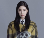 Brand Ambassador Dior