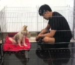 Kisah Adopsi
