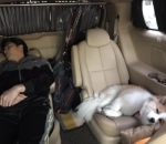 Pose Tidur Bikin Ngakak