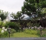 Taman Bunga