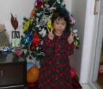Bareng Pohon Natal