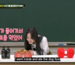 Pernah Makan Makanan Anjing