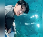 Lihat Ikan