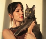 Pecinta Kucing