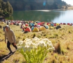 Ranu Kumbolo Bikin Rindu