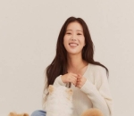 Pecinta Anjing